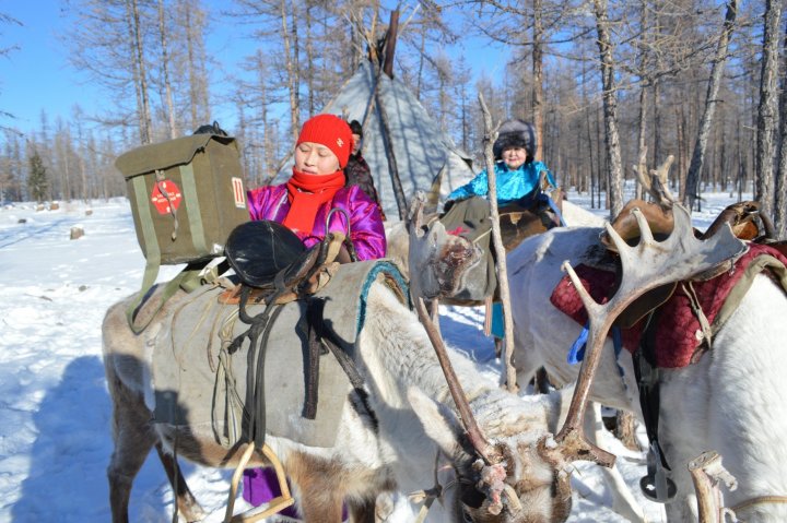 mongolia covid