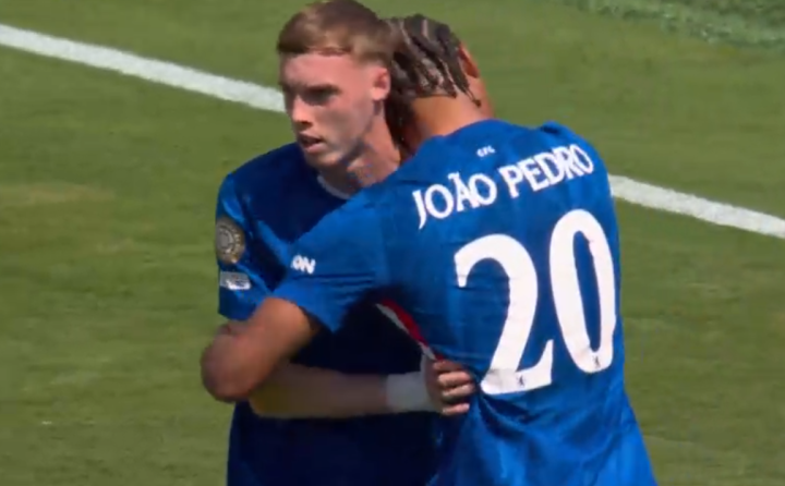 Gol de Palmer