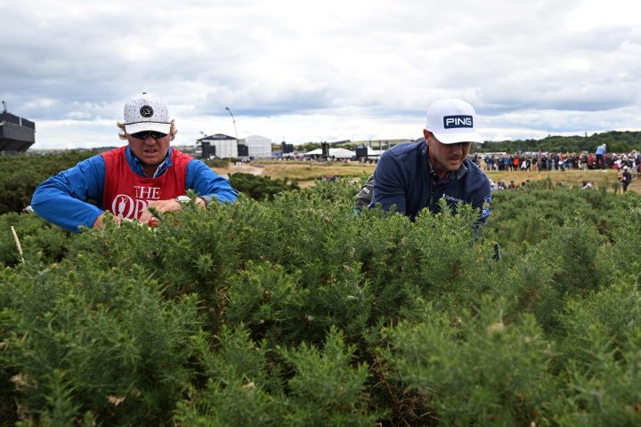 Canada's Mackenzie Hughes (R) searches for his ball in a gorse bush during his opening round on the first day of The 150th British Open Golf Championship on The Old Course at St Andrews in Scotland on July 14, 2022. (Photo by Andy Buchanan / AFP) / RESTRICTED TO EDITORIAL USE