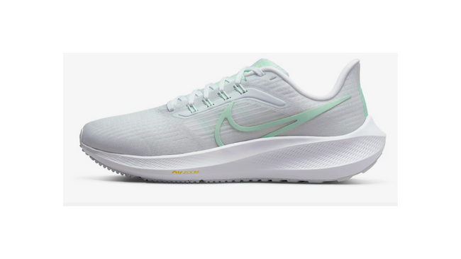 Nike Pegasus 39