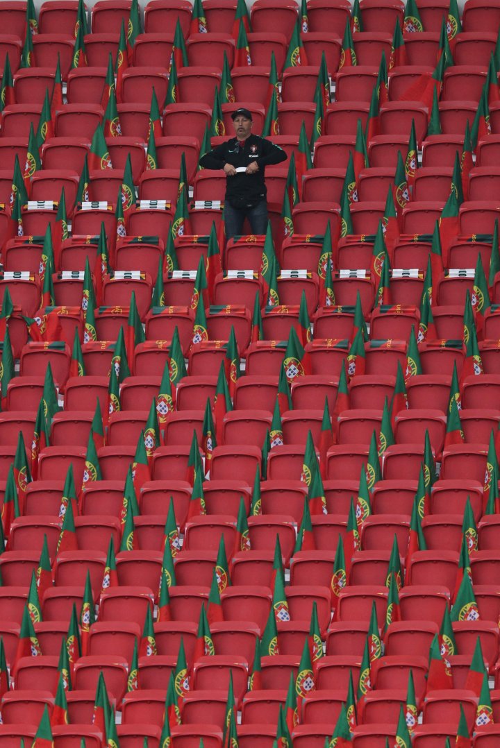 Portugal fan in the stands ahead of Morocco vs Portugal