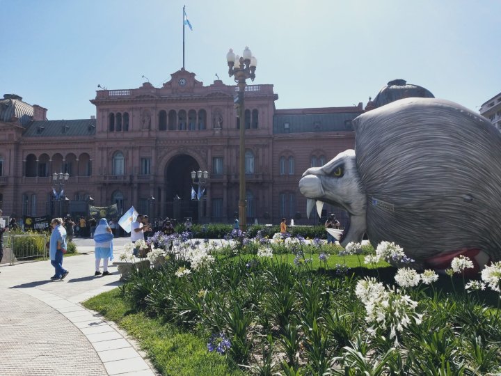 Seguidores de Milei también en la Plaza de Mayo