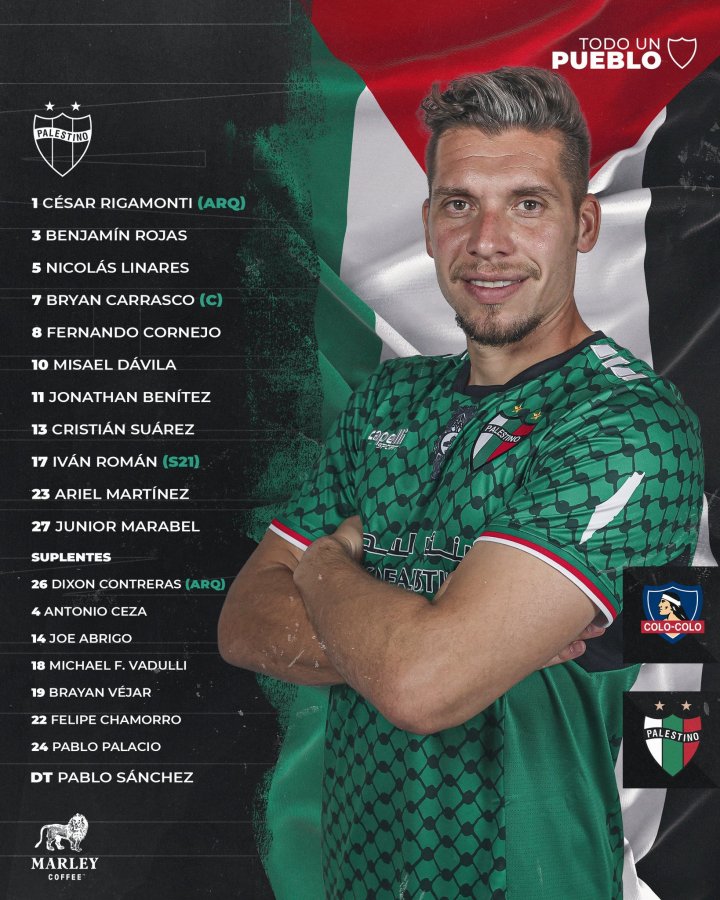 Formación Palestino