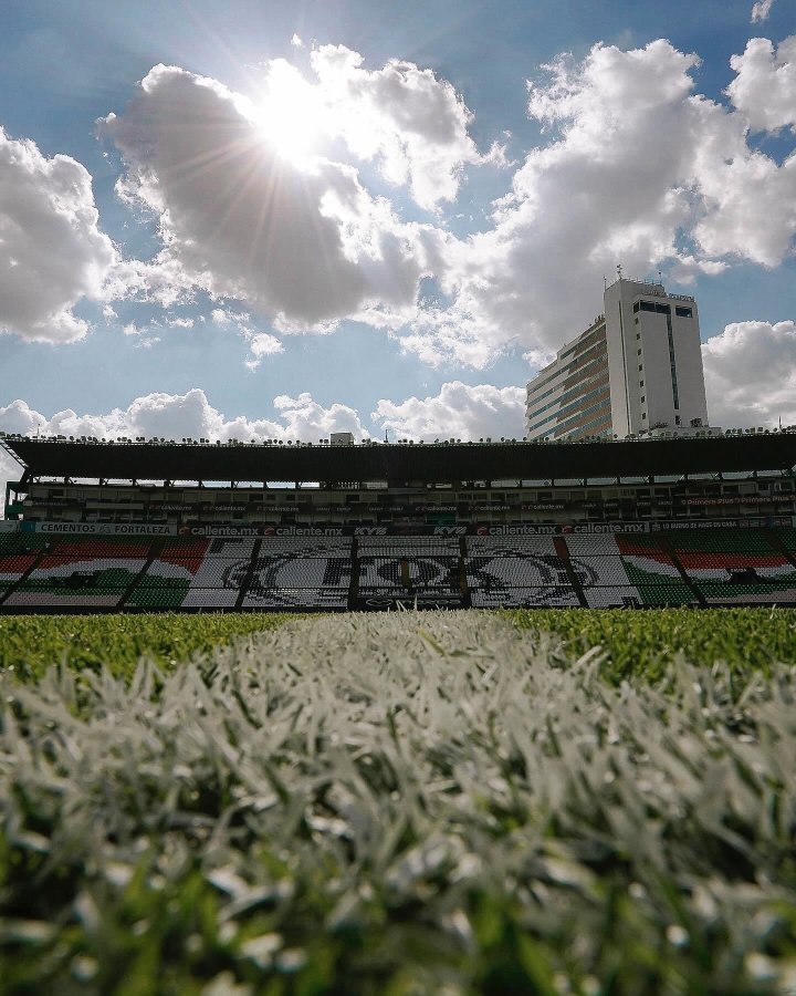 Cancha