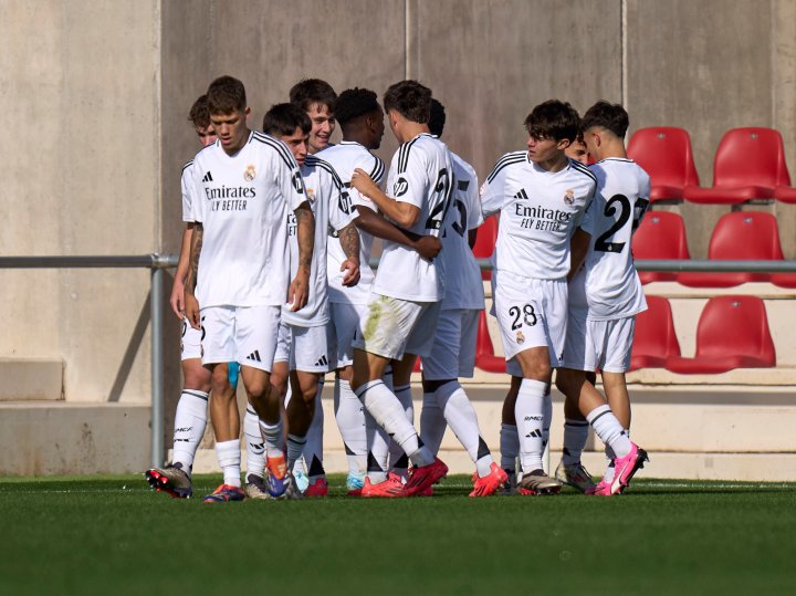 Los jugadores del Real Madrid celebran el gol de Barroso (Jesús Aguado/Diario AS)