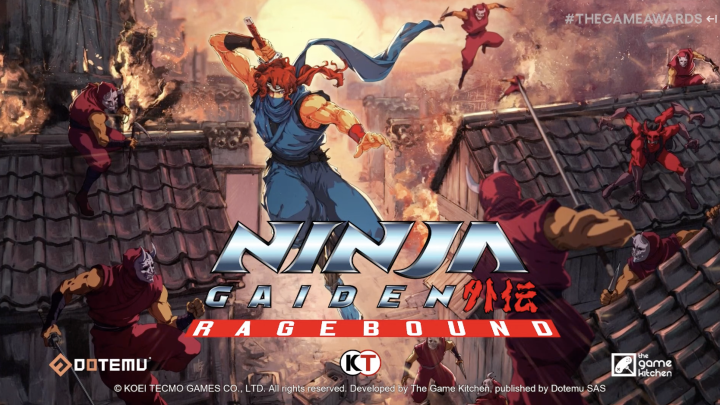 Ninja Gaiden The Game Kitchen