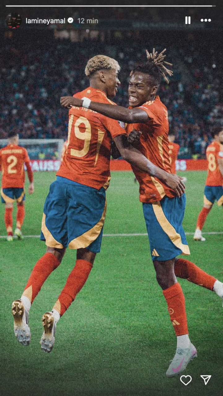 lamine