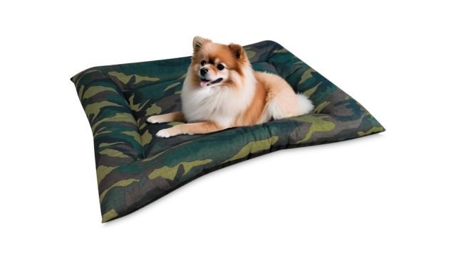 cama mascotas