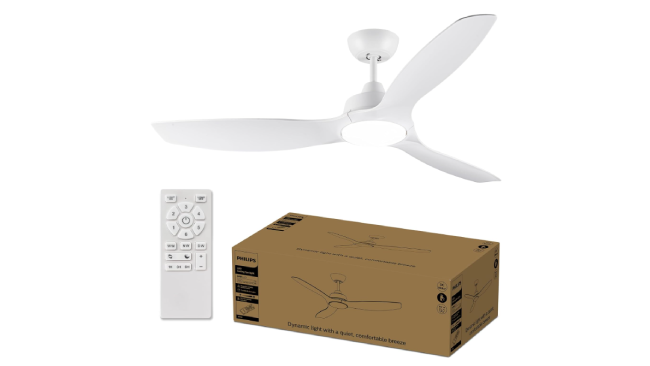 Ventilador de techo