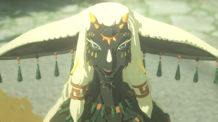 Hyrule Warriors 