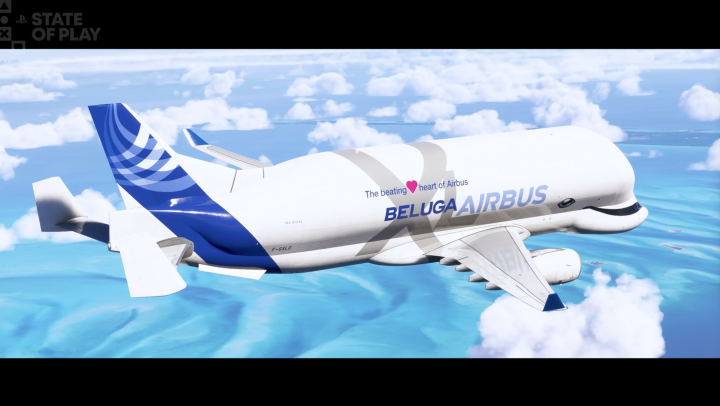 Microsoft Flight Simulator