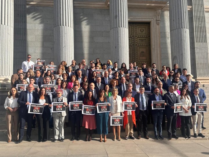 Los diputados del PSOE protestan frente al Congreso en favor de Palestina, este miércoles. / Laura Llach