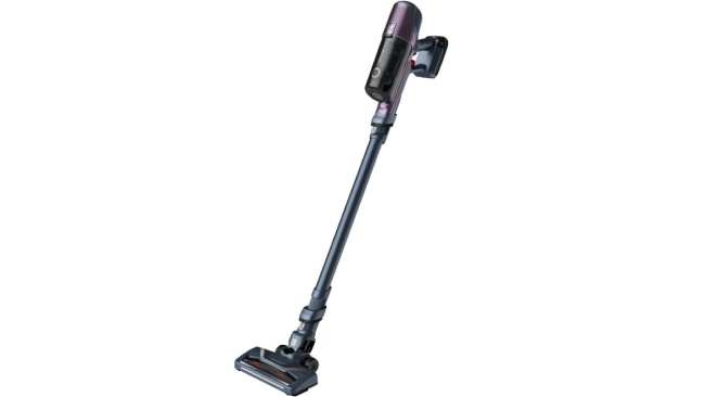 Aspiradora Rowenta Xpert